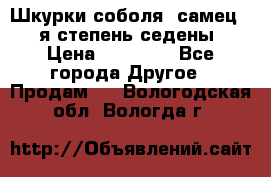 Шкурки соболя (самец) 1-я степень седены › Цена ­ 12 000 - Все города Другое » Продам   . Вологодская обл.,Вологда г.